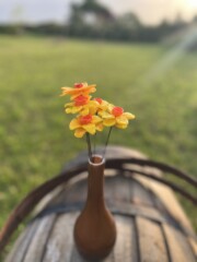 Bouquet de jonquilles en verre de Murano Bouquet de jonquilles en verre de Murano