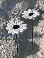 MARG002 - Marguerite en verre de Murano, pétales blanches, cœur noir Marguerite en verre de Murano