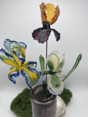 Bouquet d'Iris en verre Bouquet d'Iris en verre