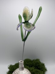 Iris en verre borosilicate<br />Réf. IRIS005 Iris en verre borosilicate