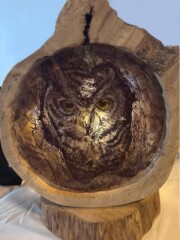 Légende Lampe chouette hibou<br />Réf. LAMPE001 Lampe chouette hibou