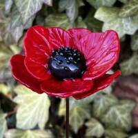 Coquelicot en verre Coquelicot en verre, à pétales
