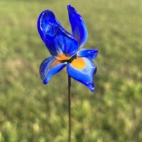 Iris en verre borosilicate Iris en verre