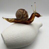 Escargot en verre tête haute Escargot en verre tête haute