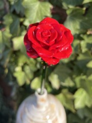 Roses en verre de Murano Idées cadeaux fêtes des mères